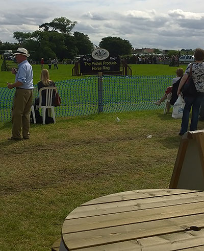 Great day out at the Mid-Somerset Show - Horse Ring